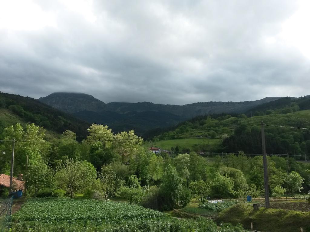 Pension Bide-Ondo Amorebieta-Etxano Buitenkant foto